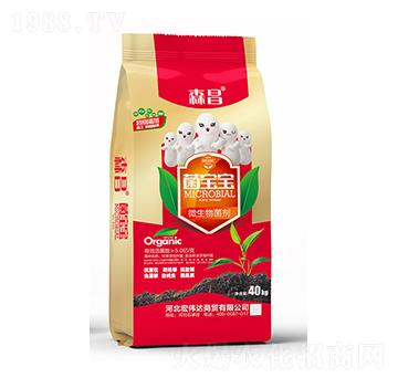 5�|΢�������-������-ɭ��-�ꂥ�_