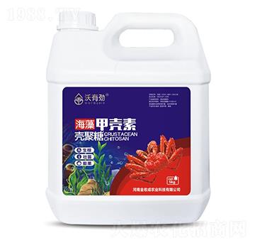 5kg����ך���-���Є�-���ճ�