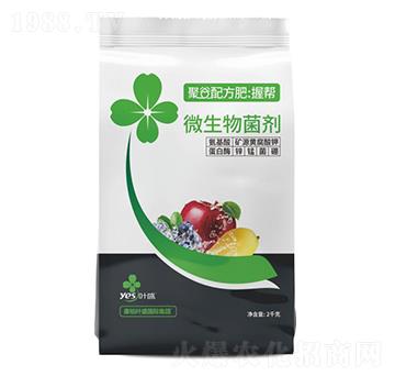 ΢�������-�۹��䷽��-�Վ�-�~ʢ����