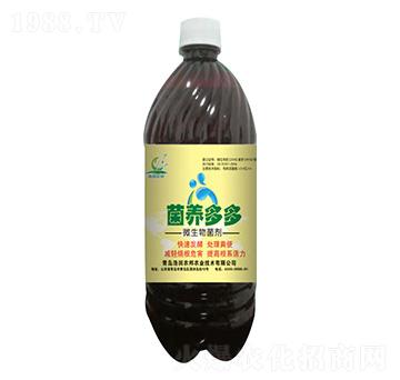 ΢�������-���B(y��ng)���-�Ɲ��r��