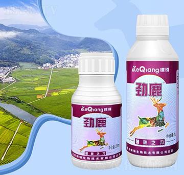 ��̼֮��-��¹-��j����