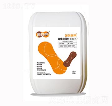 ΢�������-���ؿ�