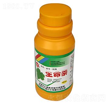 ������-�R���r��