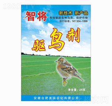 ��B��-�ǌ�-�����r�I(y��)