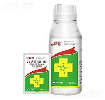 24-���|̦�؃�(n��i)��-������-��̖�r(n��ng)�I(y��)