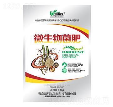 ΢�������-�P����