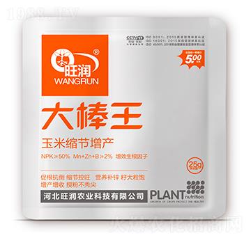 玉米縮節(jié)增產(chǎn)-大棒王-旺潤農(nóng)業(yè)