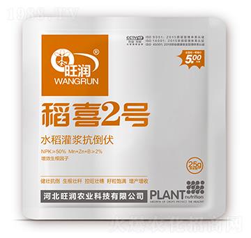 水稻灌漿抗倒伏-稻喜2號(hào)-旺潤(rùn)農(nóng)業(yè)