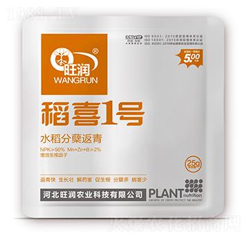 水稻分蘗返青-稻喜1號-旺潤農(nóng)業(yè)