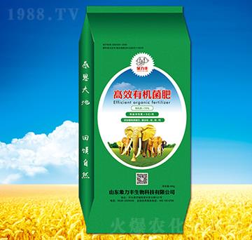 �ЙC����-�����S