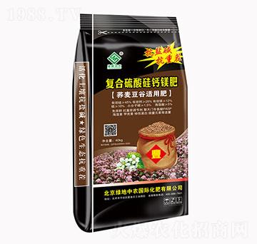 �ͺ�������}�V��-�G�����r(n��ng)