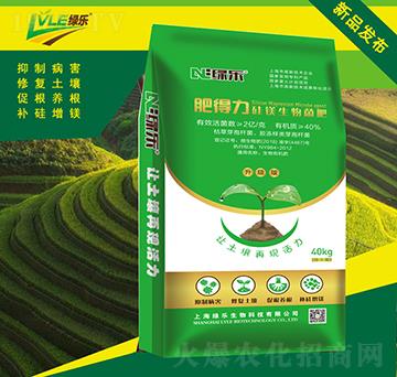 ���V�������-�ʵ���-�G��(l��)����