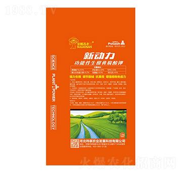 �����������S�����-����-�|���r(n��ng)�I(y��)