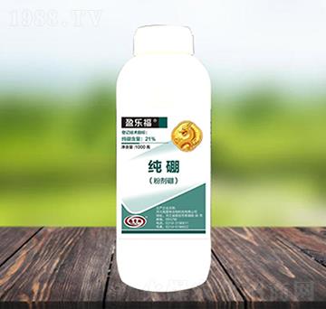 �ۄ���-ӯ����-������