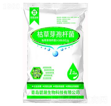 �ݲ�ѿ�ߗU��-��������