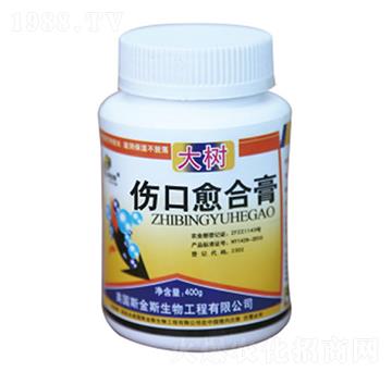 ���������ϸ�-�и�����