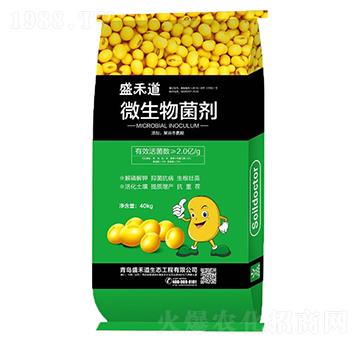 2�|΢�������-ʢ�̵�