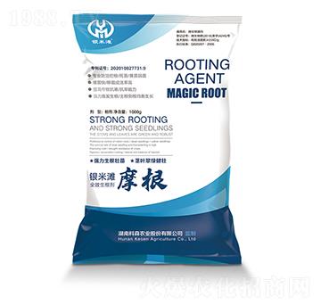 Ħ��-������-�y�מ�����