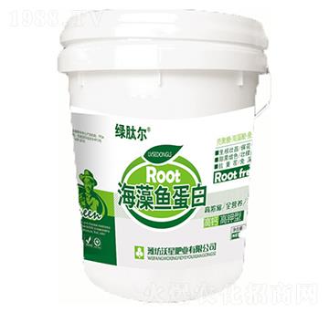 �����~(y��)����-���ǷʘI(y��)