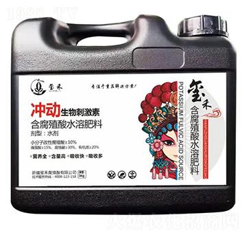 �_������̼���-�t��