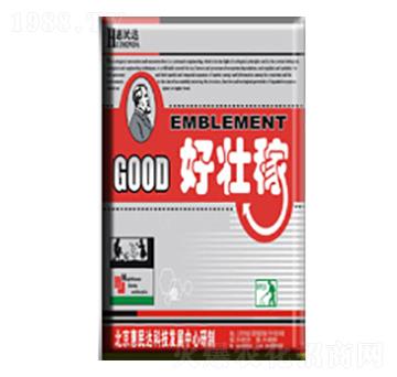 �~�����-�ÉѼ�-�����_(d��)