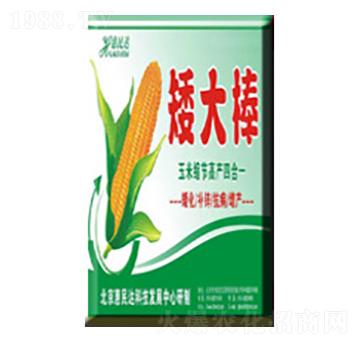 �~�����-�����-�����_(d��)