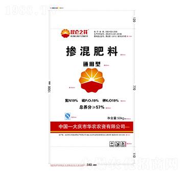 ͨ���͓����19-19-19-�|�S