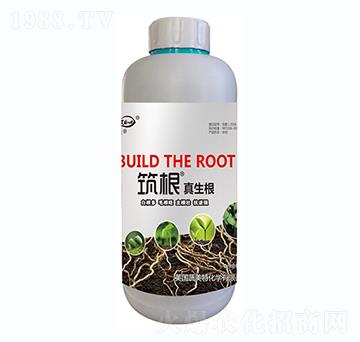 筑根真生根-蔬美特