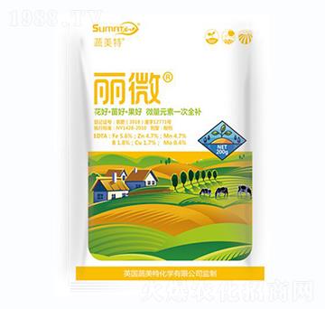 ��΢-������