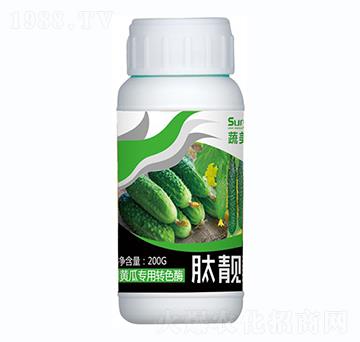 黃瓜專用轉(zhuǎn)色酶-肽靚素-蔬美特