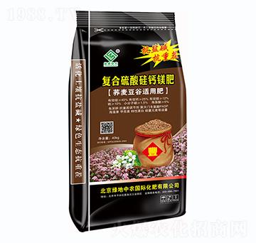 �ͺ�������}�V��-�G�����r(n��ng)