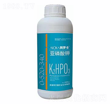 �������-�����_-�Ɲ��r��