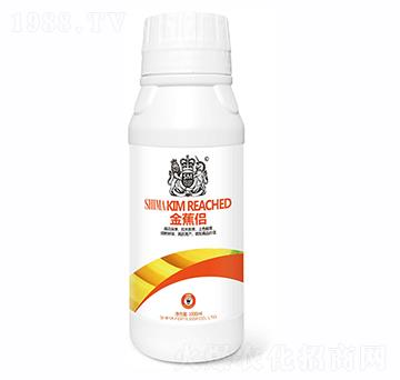 �𽶂H-�{�R�ʘI(y��)