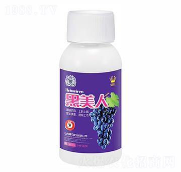 ������-�{�R�ʘI(y��)