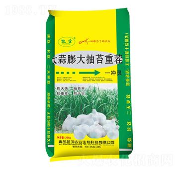 大蒜膨大抽苔重茬一噴綠-芭潤(rùn)