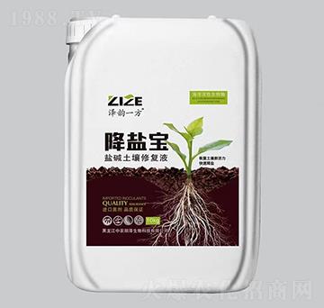 降鹽寶鹽堿土壤修復(fù)液-澤韻一方-中農(nóng)恒大
