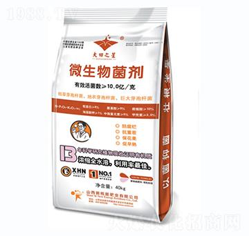 40kg΢�������-�º���