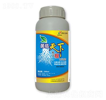 微生物菌劑-菌臨天下-德龍生物