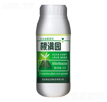 ��ϼ�(x��)������-���M(m��n)�@-��������