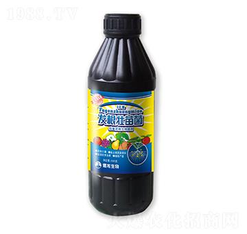 發(fā)根壯苗菌-德龍生物