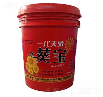 一代天驕葵寶-梁山泰豐