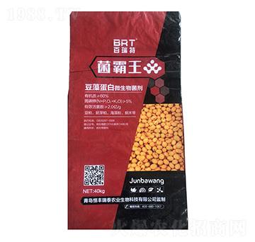 ���嵰��΢�������-������-������