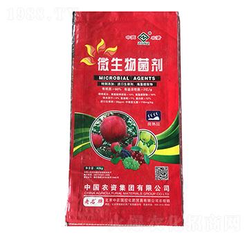 40kg΢�������-������