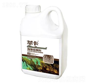 ����������-�Ϳ�-���S��