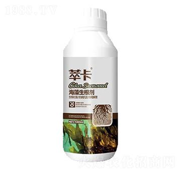 1000ml����������-�Ϳ�-���S��