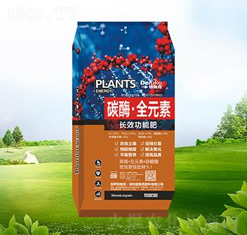 ̼ø��ȫԪ��-������