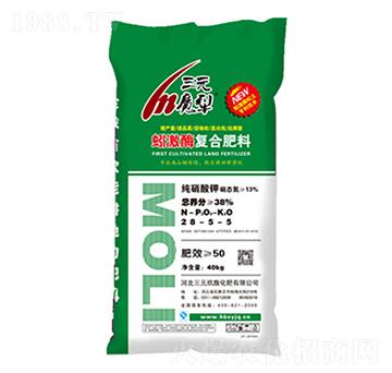 򾼤ø��(f��)�Ϸ���28-5-5-��Ԫ����