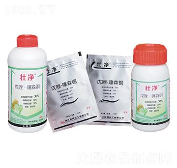 戊唑·噻森銅-壯凈-東風(fēng)化工