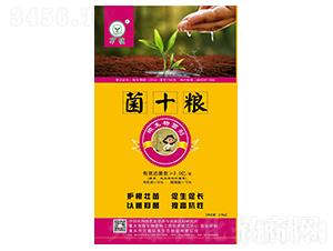 ΢�������-��ʮ�Z-�f(w��n)ֲ