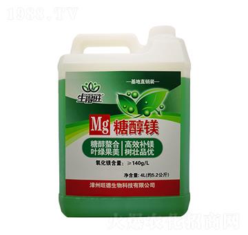 �Ǵ��V-������-��������